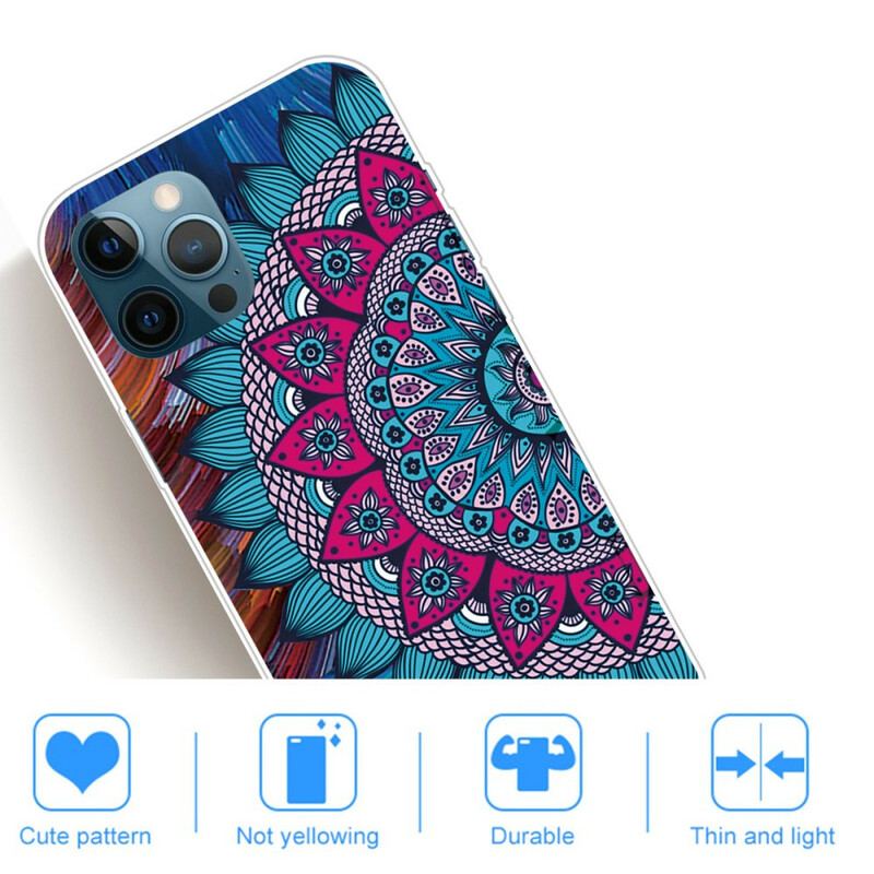 Cover iPhone 13 Pro Max Farverig Mandala