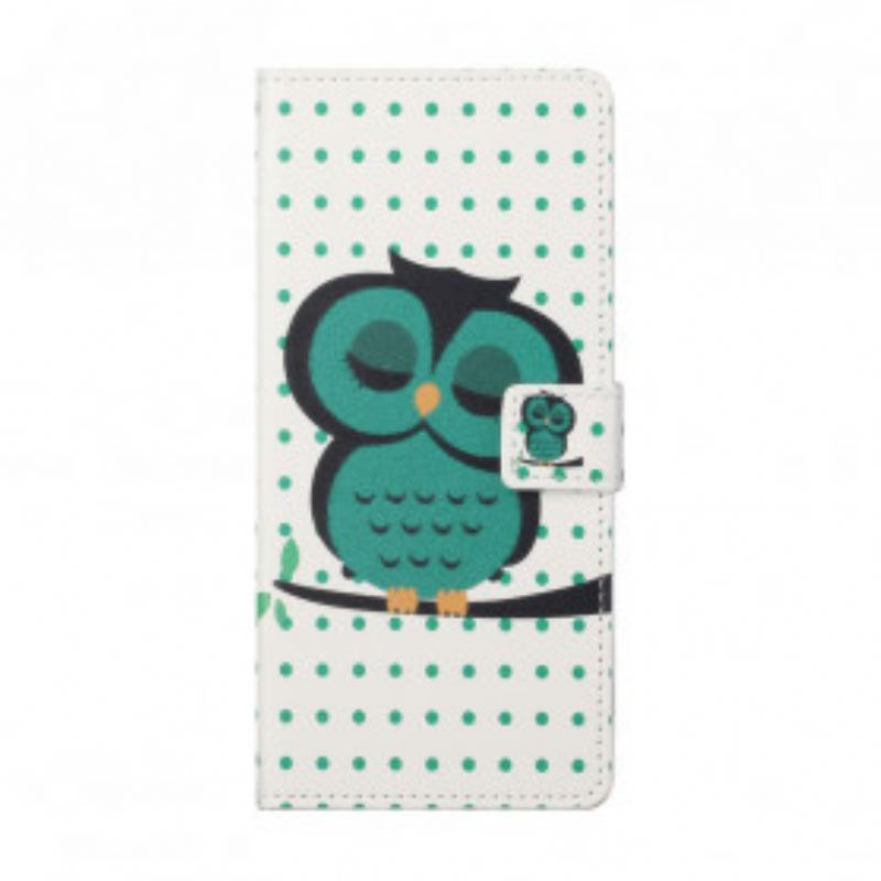 Flip Cover Xiaomi Redmi Note 10 Pro Sovende Ugle