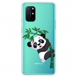 Cover OnePlus 8T Sømløs Panda På Bambus