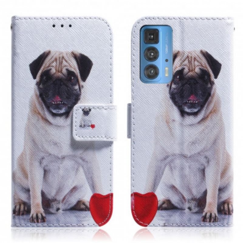 Flip Cover Motorola Edge 20 Pro Mops Hund