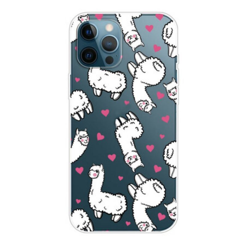 Cover iPhone 13 Pro Top Lamaer